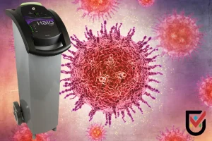 candida auris