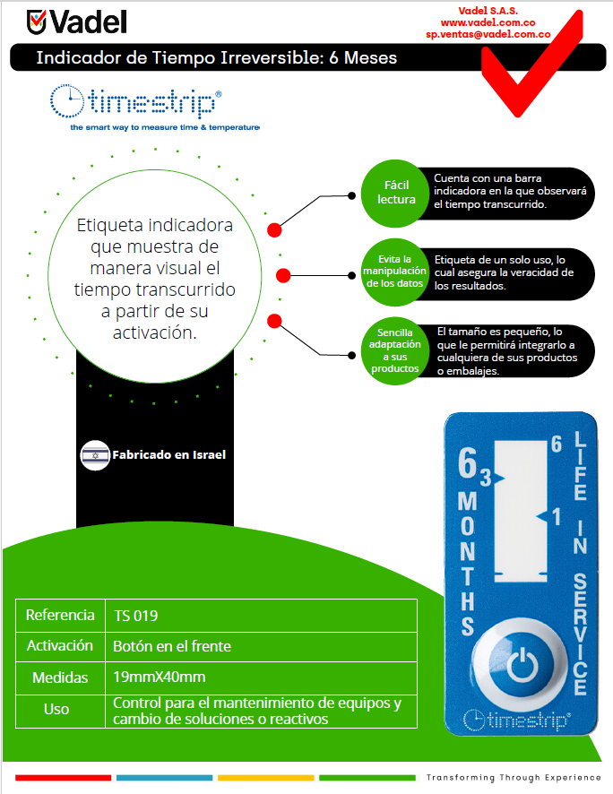 Timestrip tiempo 6 Meses